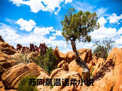 苏向晨温语柔(苏向晨温语柔)全文免费阅读_苏向晨温语柔全文阅读_笔趣阁