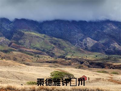 为你爱上整个世界小说最后结局-秦德雅许洺川完结版免费阅读