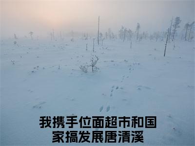 我携手位面超市和国家搞发展唐清溪小说免费阅读全文在线阅读,我携手位面超市和国家搞发展唐清溪的小说在线阅读全文
