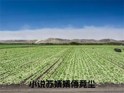 苏婧婧傅竟尘豪门小说《苏婧婧傅竟尘》最新章阅读-苏婧婧傅竟尘小说今日更新