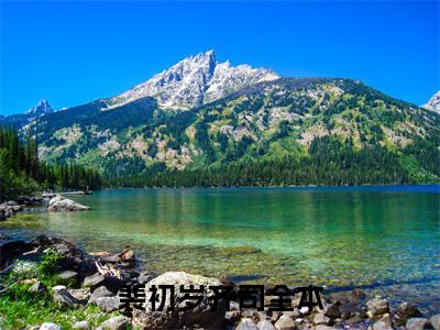 裴初岁齐司(裴初岁齐司)全文免费阅读无弹窗大结局_裴初岁齐司小说在线阅读无删减