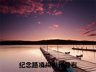 纪念路凌川小说（纪念路凌川）全文免费阅读无弹窗_纪念路凌川小说最新章节免费阅读_笔趣阁