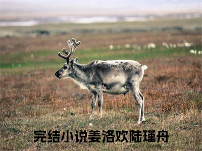 姜洛欢陆瑾舟(姜洛欢陆瑾舟)全文免费阅读无弹窗大结局_(姜洛欢陆瑾舟)姜洛欢陆瑾舟全文免费完结版阅读(姜洛欢陆瑾舟)
