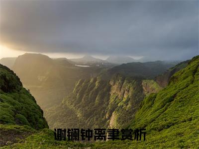 小说谢镧钟离聿免费阅读-（谢镧钟离聿）全文无弹窗阅读