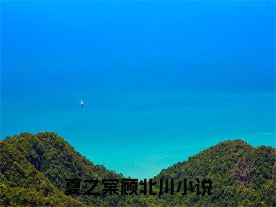 夏之棠顾北川新上精彩热文小说全文-夏之棠顾北川完整版全文在线赏析