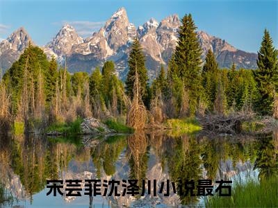 宋芸菲沈泽川（宋芸菲沈泽川）全文免费阅读无弹窗大结局_宋芸菲沈泽川全文免费阅读（宋芸菲沈泽川）最新章节列表_笔趣阁（宋芸菲沈泽川）