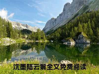 （沈墨陆云鬟）小说全文免费阅读_沈墨陆云鬟（人在南宋：开局从小捕快做起）最新章节热文在线阅读