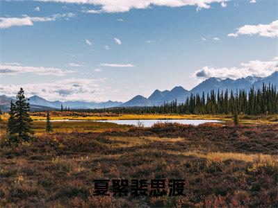 夏絮裴思渡全文免费完整版,夏絮裴思渡最新章节完整版阅读