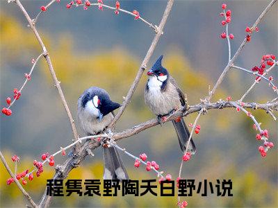 程隽袁野陶夭白野（程隽袁野陶夭白野）全文免费阅读无弹窗大结局_(程隽袁野陶夭白野)免费阅读无弹窗最新章节列表