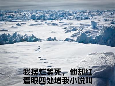 江苏云陆怀青小说（我摆烂等死，他却红着眼四处堵我）全文免费阅读无弹窗大结局_ (江苏云陆怀青免费阅读)最新章节列表_笔趣阁（我摆烂等死，他却红着眼四处堵我）