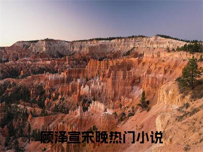 顾泽宣宋晚(顾泽宣宋晚)全文免费阅读无弹窗大结局_(顾泽宣宋晚)顾泽宣宋晚全文免费完结版阅读(顾泽宣宋晚)
