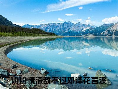 新书热荐邓泽花言溪全文免费阅读无弹窗大结局-小说灼灼情深敌不过全文完整版免费阅读