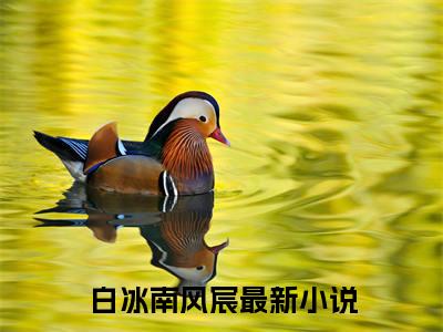 白冰南风宸（白冰南风宸）全文免费阅读无弹窗_白冰南风宸最新小说_笔趣阁