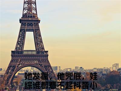 她发疯，他兜底，娃综谁都惹不起全文免费阅读无弹窗大结局_（顾鸿钧沈清晚小说）她发疯，他兜底，娃综谁都惹不起最新章节列表笔趣阁（顾鸿钧沈清晚）