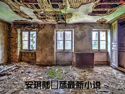 怀上老板的小祖宗小说（安琪陆珺彦）精彩免费小说_怀上老板的小祖宗全文免费阅读无弹窗大结局笔趣阁