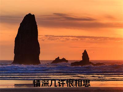 情深几许恨相思全文阅读-虞诗吟傅瑾行小说免费阅读-笔趣阁