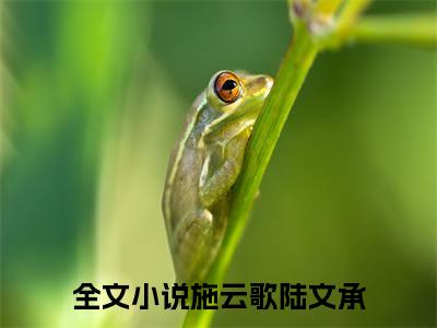 施云歌陆文承小说（施云歌陆文承）全文免费阅读无弹窗大结局_施云歌陆文承（施云歌陆文承）最新章节列表-笔趣阁（施云歌陆文承）