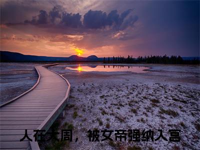秦渊（人在大周，被女帝强纳入宫）免费小说-人在大周，被女帝强纳入宫全文在线阅读