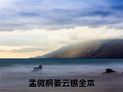 孟微桐姜云锡小说(孟微桐姜云锡)全文免费阅读无弹窗大结局_(孟微桐姜云锡小说免费阅读)孟微桐姜云锡无弹窗最新章节列表_笔趣阁（孟微桐姜云锡）