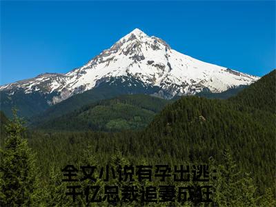 【新书】《夏时陆南沉》全文免费阅读无弹窗大结局-有孕出逃：千亿总裁追妻成狂全章节免费阅读