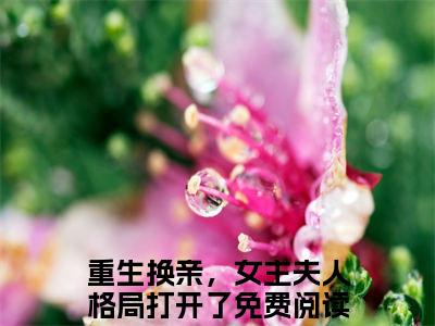 陆又龄程放（重生换亲，女主夫人格局打开了）小说全文免费阅读无弹窗大结局_（重生换亲，女主夫人格局打开了免费阅读）陆又龄程放最新章节列表笔趣阁