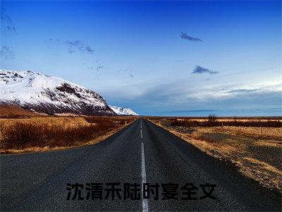 沈清禾陆时宴（沈清禾陆时宴）全文免费无弹窗大结局_沈清禾陆时宴最新章节目录笔趣阁（沈清禾陆时宴）