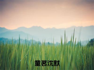 童茗沈默精彩热门小说_童茗沈默最新章节列表_笔趣阁