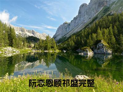 阮恋恩顾祁盛经典小说无广告小说免费阅读 阮恋恩顾祁盛全章节免费阅读