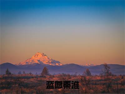蓝愿秦淮（蓝愿秦淮）全文免费大结局，蓝愿秦淮结局在线阅读