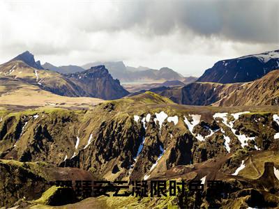 贺臻安云凝小说免费阅读全文在线阅读,贺臻安云凝的小说在线阅读全文