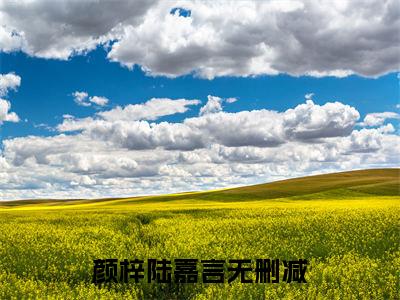 颜梓陆嘉言小说全文免费阅读无弹窗大结局-颜梓陆嘉言 小说在哪里可以看