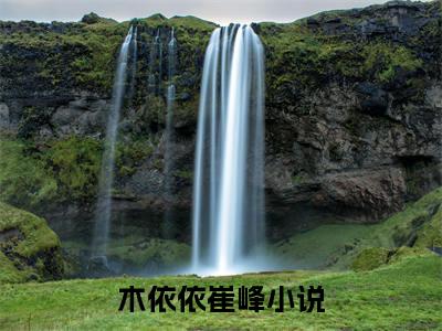 木依依崔峰（从年代开始崛起）全文免费阅读无弹窗大结局_从年代开始崛起最新章节列表笔趣阁