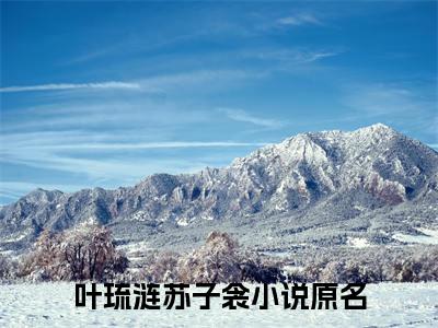 叶琉涟苏子衾全文免费阅读无弹窗大结局_(叶琉涟苏子衾)最新章节列表笔趣阁（叶琉涟苏子衾）