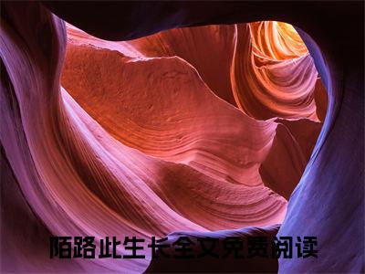 （沈念昭宋彦津）小说全文免费阅读_沈念昭宋彦津（陌路此生长）最新章节热文在线阅读
