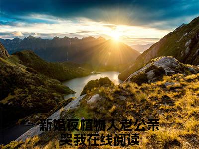 新婚夜植物人老公亲哭我（霍时深顾南娇）全文免费阅读无弹窗大结局_（霍时深顾南娇无弹窗）_笔趣阁