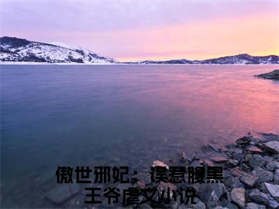 傲世邪妃：误惹腹黑王爷在线阅读（风惊落帝流夙小说）全文免费阅读无弹窗大结局_风惊落帝流夙免费最新章节列表_笔趣阁（傲世邪妃：误惹腹黑王爷小说）