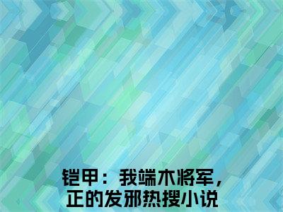 铠甲：我端木将军，正的发邪(炎龙)小说全文免费阅读无弹窗大结局_铠甲：我端木将军，正的发邪最新章节列表