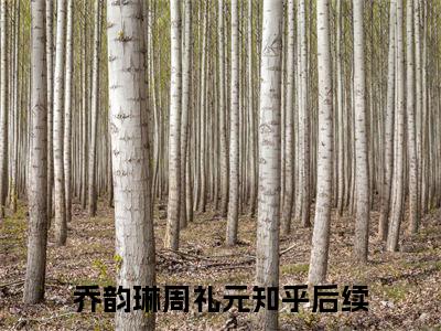 （乔韵琳周礼元小说）全文免费阅读无弹窗大结局_（乔韵琳周礼元阅读无弹窗）乔韵琳周礼元小说章节列表