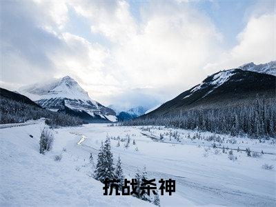 林明小说（抗战杀神）全文免费阅读无弹窗大结局_(抗战杀神)林明小说最新章节列表_笔趣阁（林明小说）