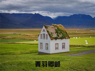 菁羽卿邺（菁羽卿邺）免费阅读全本资源-热门新书菁羽卿邺在线阅读
