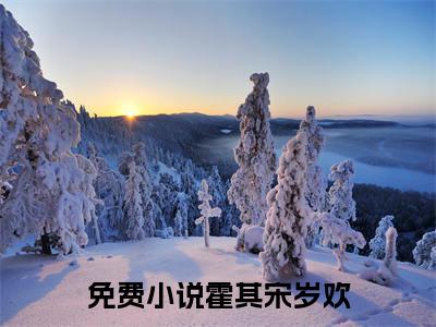 霍其宋岁欢最新更新热门榜单小说（霍其宋岁欢全集小说完整版笔趣阁）霍其宋岁欢全文阅读