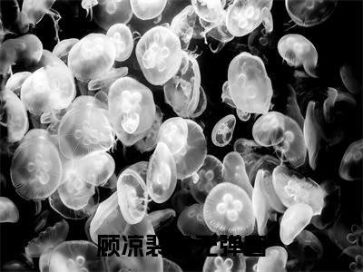 顾凉裴聿(顾凉裴聿）小说全文免费阅读无弹窗大结局_（顾凉裴聿）顾凉裴聿小说全文免费阅读最新章节列表笔趣阁（顾凉裴聿）