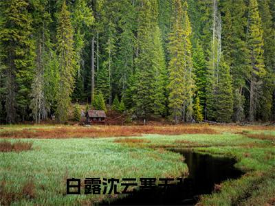 白露沈云寒小说讲的是什么-白露沈云寒精彩章节目录观看