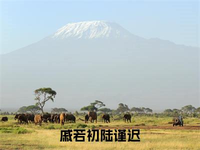戚若初陆谨迟（戚若初陆谨迟全集无弹窗阅读）戚若初陆谨迟已完结小说全集完整版大结局笔趣阁（戚若初陆谨迟）最新章节列表_笔趣阁