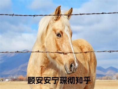 顾安安宁琛彻（顾安安宁琛彻）小说在线阅读_顾安安宁琛彻免费阅读笔趣阁（顾安安宁琛彻）