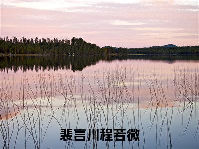 裴言川程若微热门小说全文免费阅读无弹窗大结局-裴言川程若微免费阅读大结局