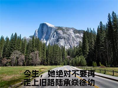 今生，她绝对不要再走上旧路（陆承焱徐幼薇）全文免费阅读无弹窗大结局_陆承焱徐幼薇小说最新章节列表_笔趣阁(今生，她绝对不要再走上旧路）