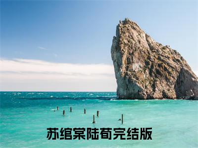 苏绾棠陆荀小说叫什么名字（苏绾棠陆荀）完整版大结局-苏绾棠陆荀小说在线阅读