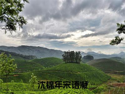 沈锦年宋语凝（沈锦年宋语凝）全文免费阅读无弹窗大结局_沈锦年宋语凝最新章节列表_笔趣阁（沈锦年宋语凝）