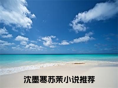 沈墨寒苏茉小说免费阅读-精选沈墨寒苏茉小说大结局阅读